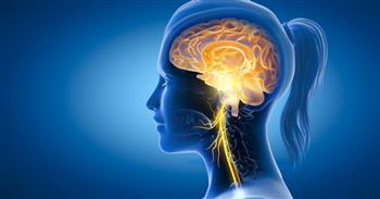   دراسة: تكشف تأثير الكوفيد على العصب المبهم