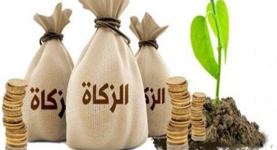 هل يجوز إعطاء الأب من زكاة المال