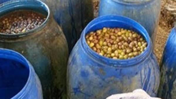 ضبط ٤٠٠ كيلو زيتون فاسد بالإسكندرية 