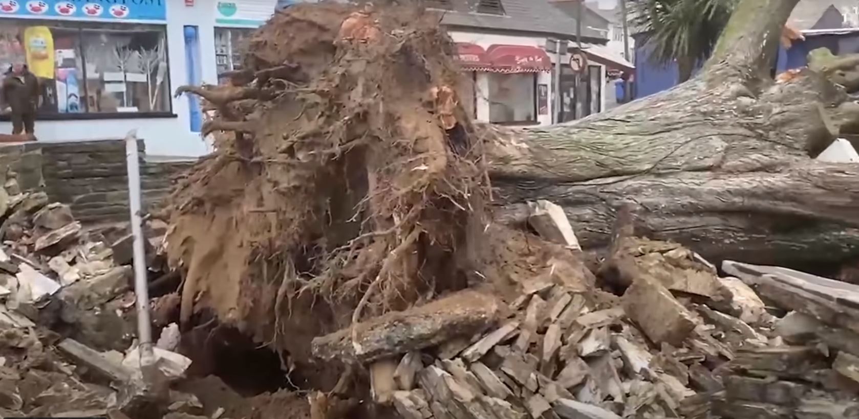 «يونيس» تخلع الأشجار و تتلاعب بالطائرات فى الجو .. فيديو