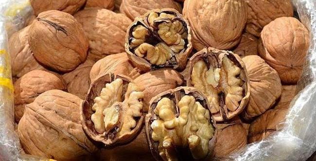 النظام الغذائي الغني بالجوز يساعد في الحماية من أمراض القلب
