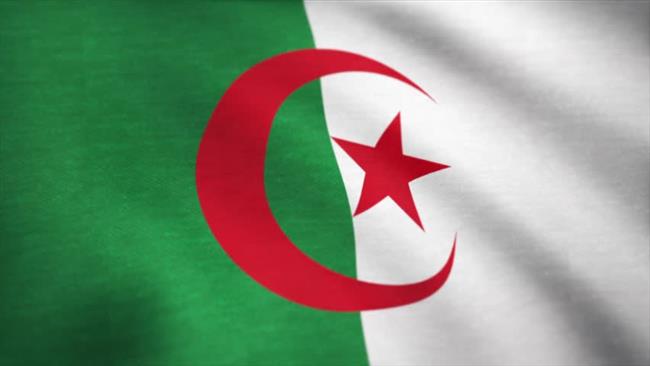  تأسيس مجلس «تجديد الاقتصاد الجزائرى» لتحقيق النمو المنشود