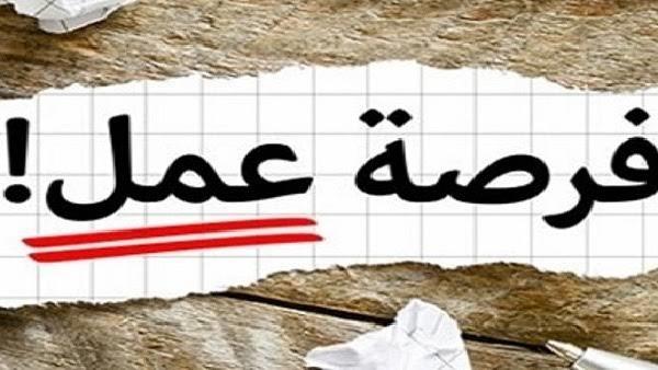 القوى العاملة: توفير فرصة عمل بأجور مجزية ببورسعيد
