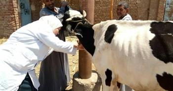    تحصين 54 ألف رأس ماشية ضد الأمراض الوبائية