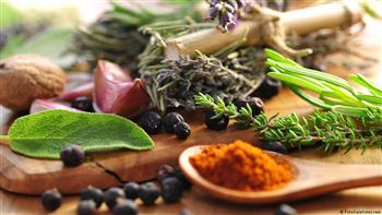    4 أعشاب شائعة في الطب البديل.. إليك أبرز استخداماتها