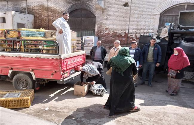 محافظ البحيرة: توزيع ٥٣  ألف طائر بمشروع تربية البط 