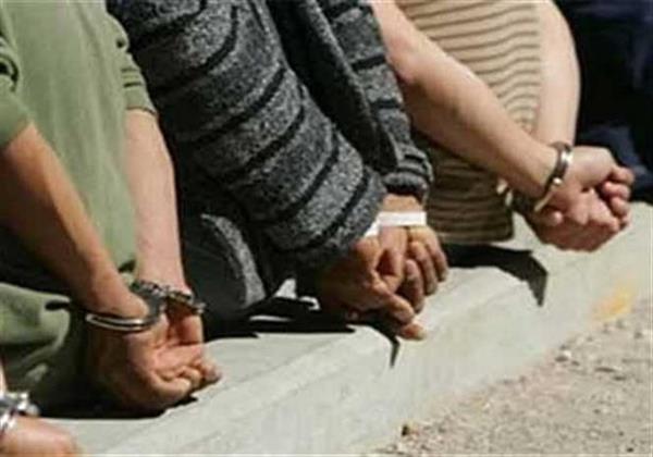 سقوط حرامية العجل بالإسكندرية  