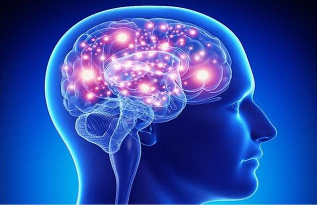 دراسة تبرز متى يبدأ التباطؤ في الدماغ