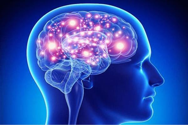 دراسة تبرز متى يبدأ التباطؤ في الدماغ