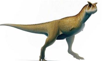   الأرجنتين تتوصل إلى ديناصور يبلغ عمره 70 مليون سنة
