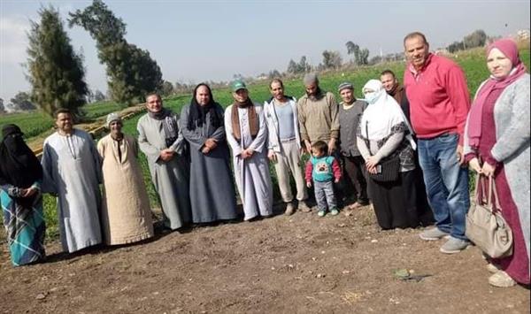 زراعة كفرالشيخ تنفذ مدارس حقلية لمتابعة مشروع الايكاردا