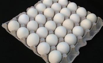    أسعار البيض اليوم الثلاثاء في الأسواق 