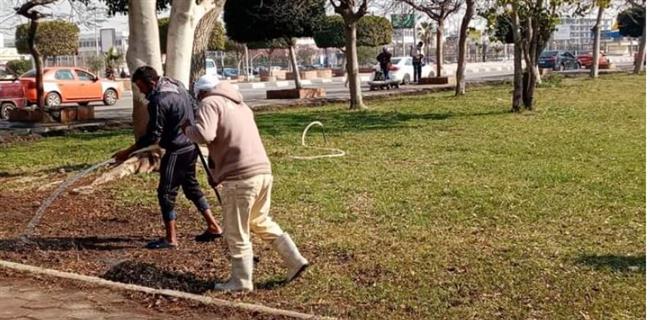 محافظ الإسماعيلية: رفع كفاءة 30 فدان من المسطحات الخضراء بالطريق الدائري