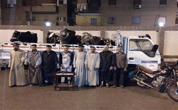 سقوط عصابة تجارة المواشي المضروبة بالغربية