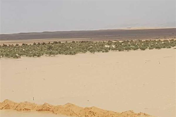 رئيس مدينة نخل بشمال سيناء: خطة طموحة لإنشاء الخزانات والبحيرات الصناعية