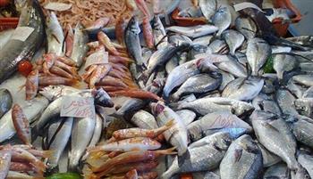   أسعار الأسماك فى سوق العبور اليوم الثلاثاء 