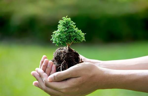 وزارة البيئة تعلن 7 رسائل توجيهية للتحول للأخضر