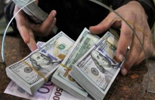 تحويلات المصريين بالخارج ترتفع إلى 28.9 مليار دولار في 11 شهرا
