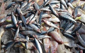   ضبط 25 طن أسماك مجمدة غير صالحة للاستهلاك الآدمى في البحيرة 