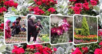   اليوم.. انطلاق معرض زهور الربيع بحديقة الأورمان 