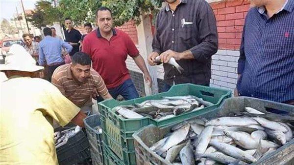 البلطي أبرزها.. تحركات سعرية في سوق السمك اليوم 