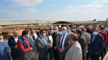 وزير الرياضة ورئيس جامعة أسوان يتفقدان العروض الرياضية في ختام أولمبياد المحافظات الحدودية