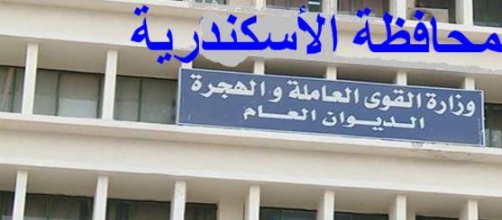 القوى العاملة بالإسكندرية: تخريج دفعة جديدة على مهنة السباكة بالوحدة المتنقلة