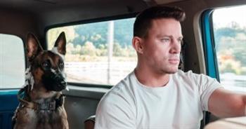 24 مليون دولار من نصيب فيلم نشانينج تاتوم الجديد Dog