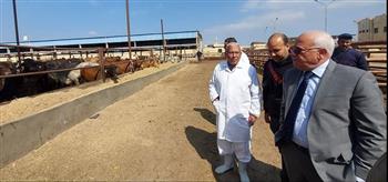   محافظ بورسعيد يتابع سير العمل بمحطة تسمين الماشية 