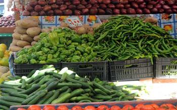   أسعار الخضروات اليوم الإثنين بالأسواق 