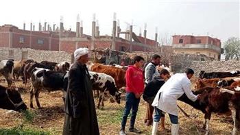  بيطري الشرقية: تحصين 204 آلاف ماشية وأغنام وتنفيذ 355 ندوة إرشادية 