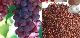 بذور العنب تحارب الشيخوخة