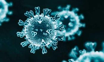   الصحة تعلن تسجيل 2291 إصابة جديدة بفيروس كورونا و39 حالة وفاة