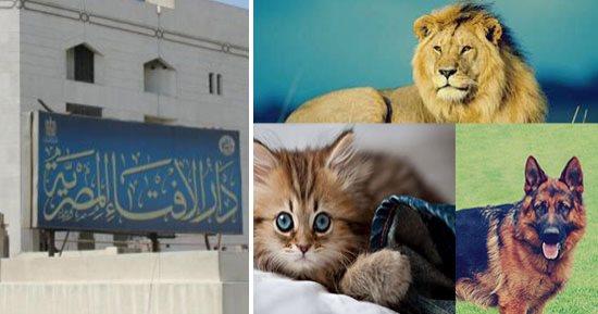 هل يجوز سب الحيوانات ومخلوقات الله؟