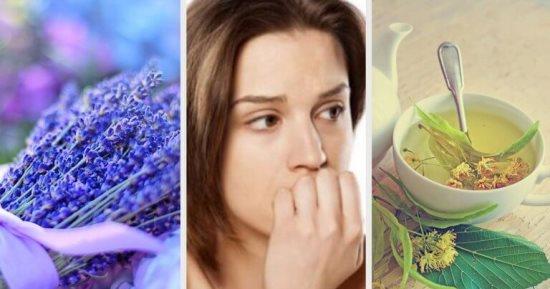 هل هناك علاج عشبي فعال للقلق؟