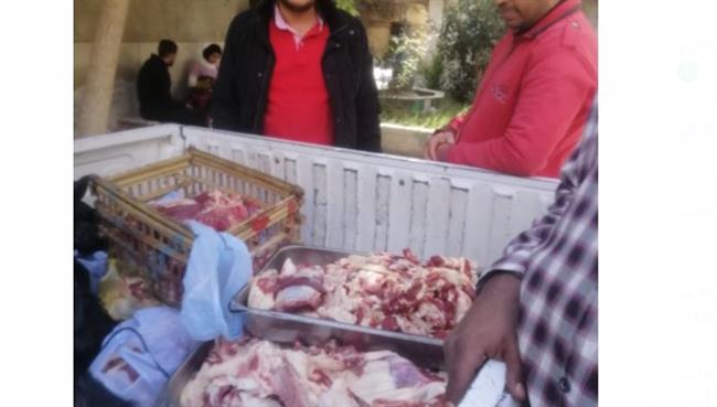 بيطرى قنا يضبط لحوم مذبوحة خارج المجازر 
