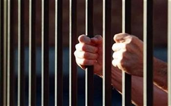   السجن المشدد 10 سنوات لشخصين بحوزتهما 84 طربة حشيش بأسيوط  