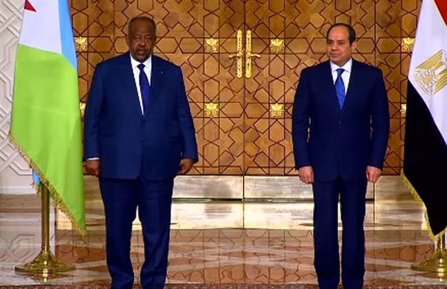 خبير يوضح أهمية زيارة رئيس جيبوتي لمصر اقتصاديا