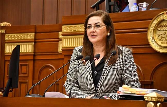 التخطيط: 7.3 مليار دولار عمليات المؤسسة الإسلامية لتأمين الاستثمار في مصر 