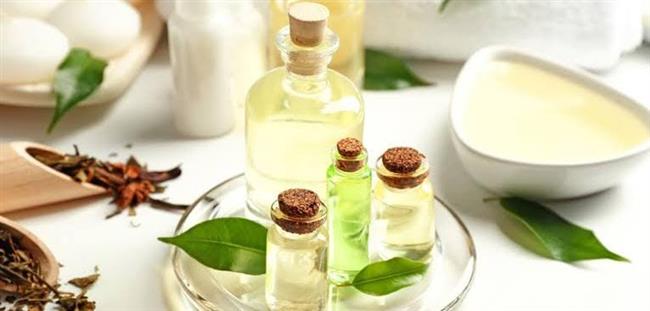 فوائد زيت شجرة الشاي 