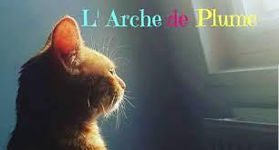    تعرف على القطة «ميمشيت» مرشحة للرئاسة فى فرنسا