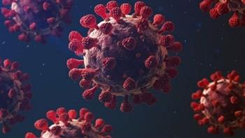   استمرار ارتفاع إصابات ووفيات فيروس كورونا عالميا 