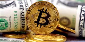 «سى إف أى» تطلق أكثر من 250 عملة رقمية لا مثيل لها