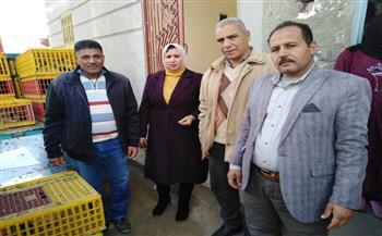 توزيع ٥٢ ألف بمشروع تربية البط بالبحيرة 