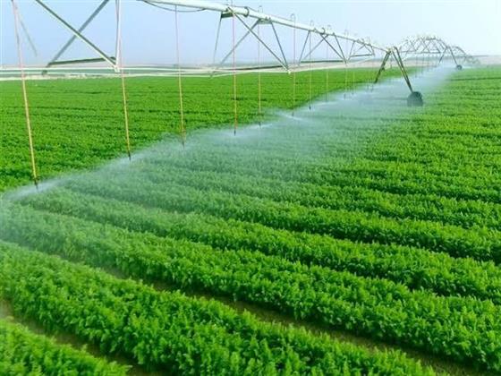 إدراج محافظة الوادي الجديد بمنظومة تمويل الري الحديث