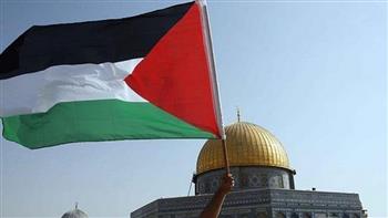   فلسطين تطالب الجنائية الدولية بسرعة فتح تحقيق في جرائم الاحتلال الإسرائيلي