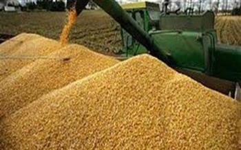   مصر توقف تصدير القمح والسلع الأساسية لمدة 3 أشهر