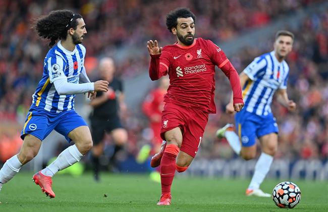 بث مباشر مباراة ليفربول وبرايتون بالدورى الإنجليزى 