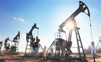   «أوابك» تدين الاعتداء على مصفاة تكرير البترول في الرياض