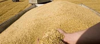   وزارة المالية الباكستانية: باكستان تواجه نقصا حادا في مخزون القمح